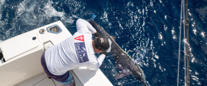 Winter Is Coming! 3 Fishing Tips for winter Winter Is Coming! 3 Fishing Tips for winter