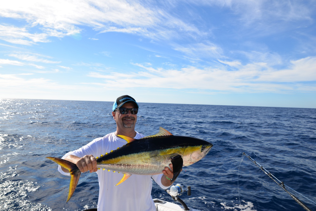 4 Types of Fishes You’ll Find in San Lucas, Cabo 1 Yellowfin Tuna