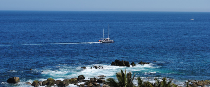 Best Deep Sea Fishing Spots in Cabo San Lucas Best Deep Sea Fishing Spots in Cabo San Lucas