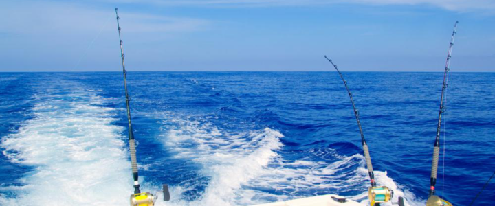 Off I Go Casting: Marlin Fishing in Cabo San Lucas Off I Go Casting: Marlin Fishing in Cabo San Lucas