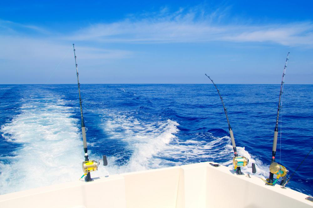 Off I Go Casting: Marlin Fishing in Cabo San Lucas 3 Marlin Fishing in Cabo San Lucas