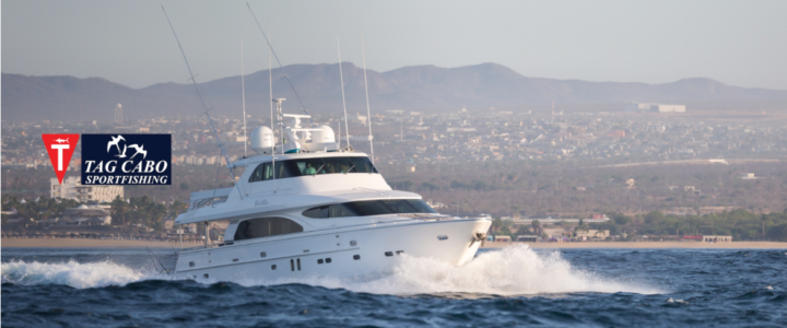 A Complete Guide About Charter Fishing for Beginners A Complete Guide About Charter Fishing for Beginners