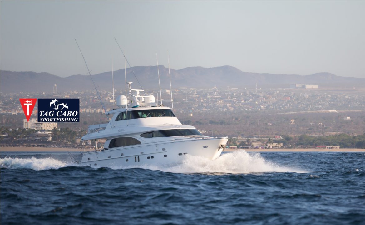 A Complete Guide About Charter Fishing for Beginners 13 Why You Need A Yacht For Your Luxurious Fishing Trip