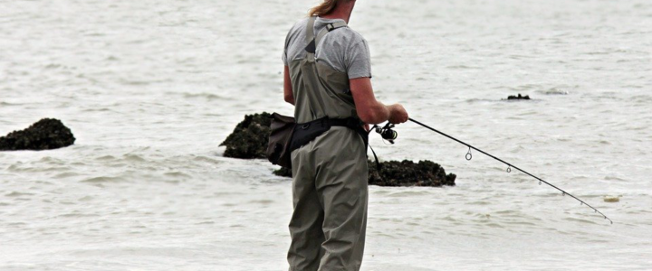 When Is The Best Time To Take A Fishing Trip To Cabo San Lucas? When Is The Best Time To Take A Fishing Trip To Cabo San Lucas?