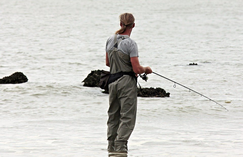 When Is The Best Time To Take A Fishing Trip To Cabo San Lucas? 10 Best Time To Take A Fishing Trip To Cabo San Lucas