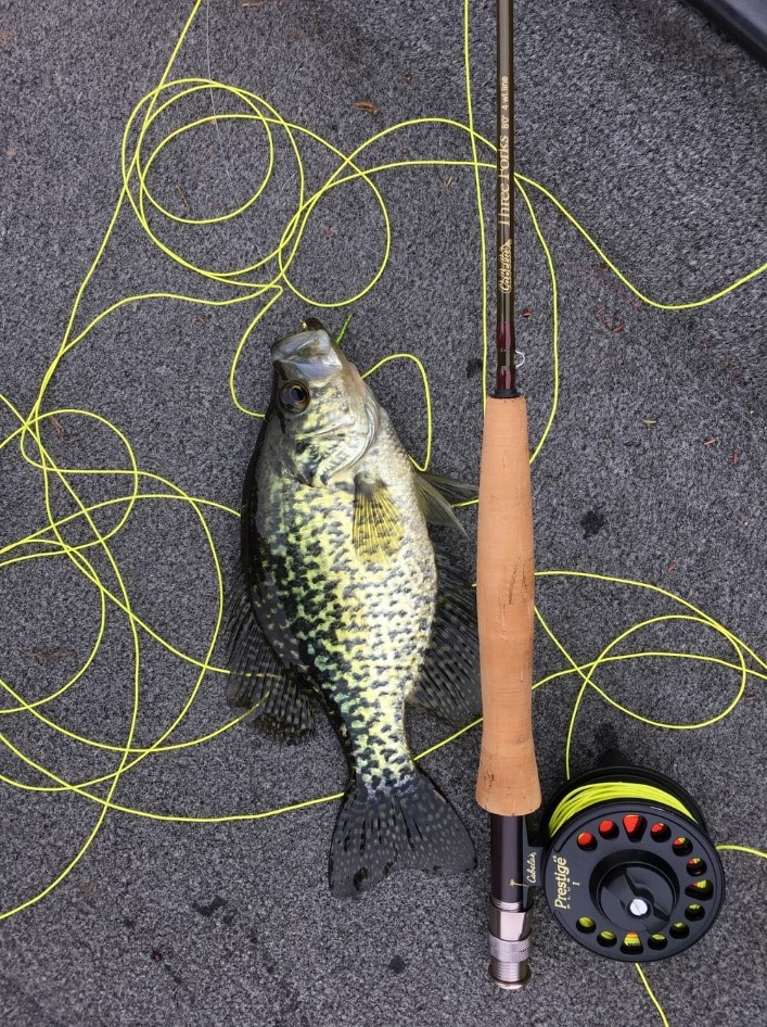 The Best Fishing Lines Available 3 Best Fishing Lines
