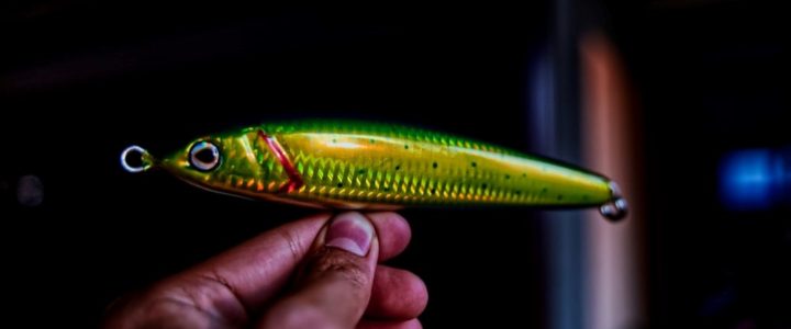 Beginners Fishing Gear Checklist To Follow Beginners Fishing Gear Checklist To Follow