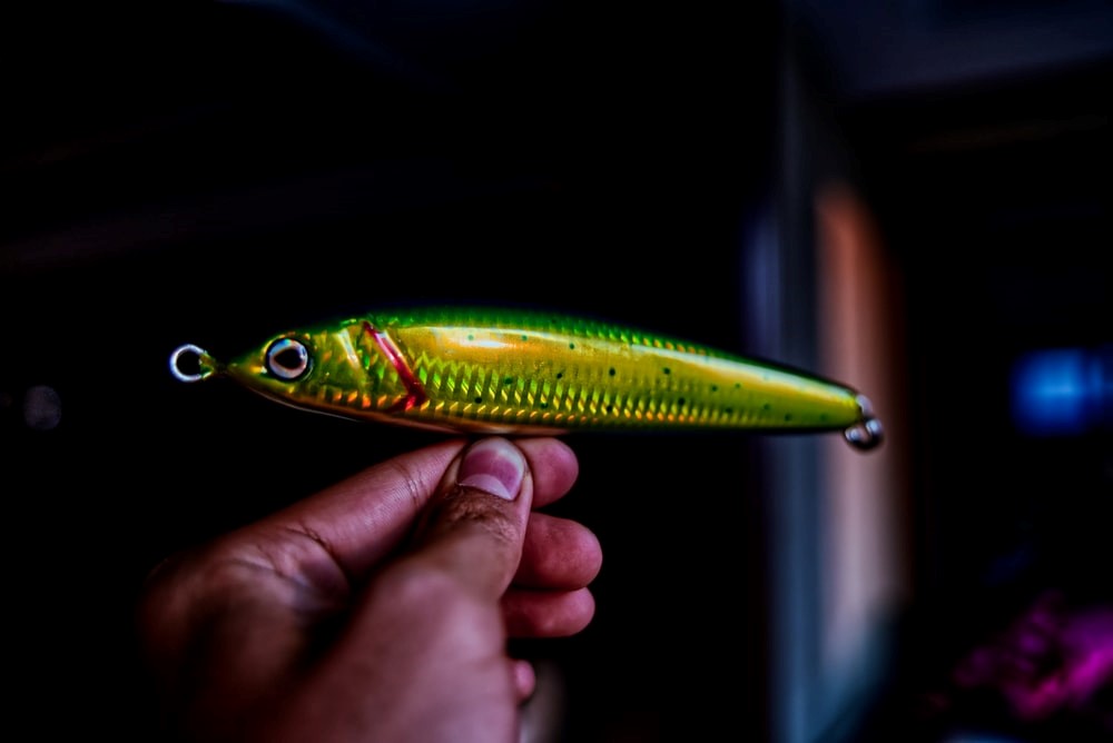Beginners Fishing Gear Checklist To Follow 5 Fishing Gear Checklist