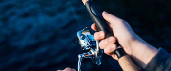 Get in Gear: How to Organize Your Fishing Gear Get in Gear: How to Organize Your Fishing Gear