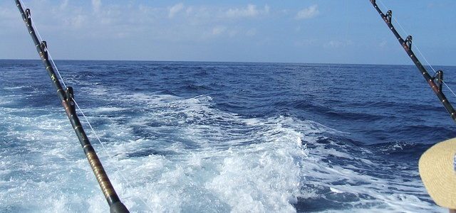 Deep Sea Fish You Can Catch On a Charter Deep Sea Fish You Can Catch On a Charter