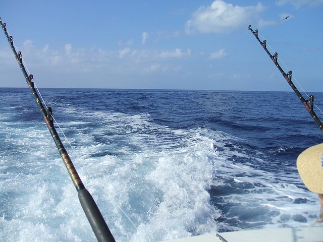 Deep Sea Fish You Can Catch On a Charter 12 Deep Sea Fish You Can Catch On a Charter