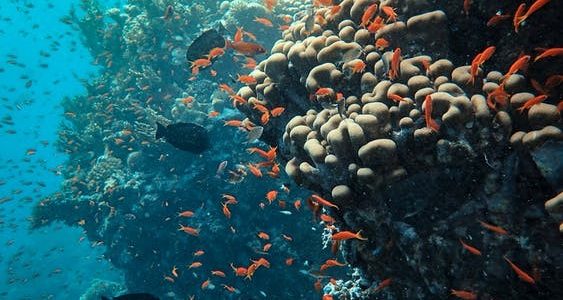 Gold Mines at Sea: 3 Best Locations for Fishing Gold Mines at Sea: 3 Best Locations for Fishing