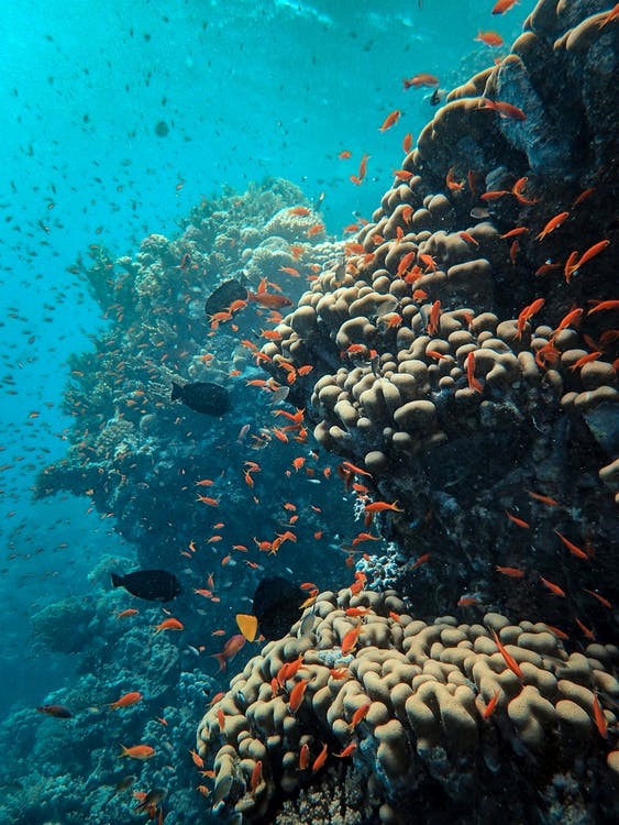 Gold Mines at Sea: 3 Best Locations for Fishing 10 Locations for Fishing