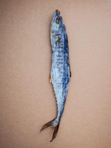 Deep Sea Fish You Can Catch On a Charter 1 Marlin species