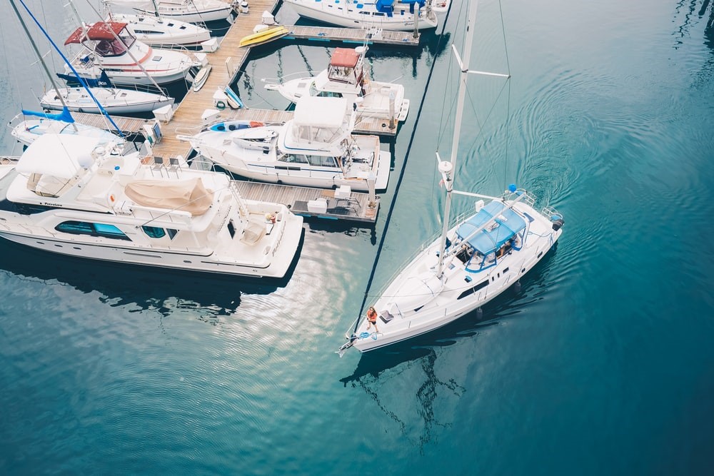 Choosing The Best Fishing Charter For Your Trip 4 A range of fishing charters in Cabo