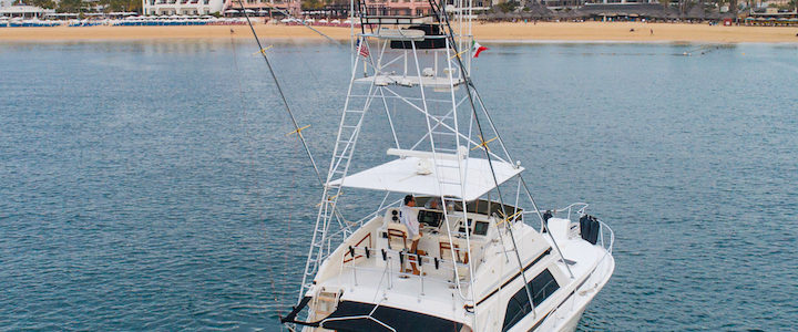 50ft Bertram in Cabo San Lucas 50ft Bertram in Cabo San Lucas