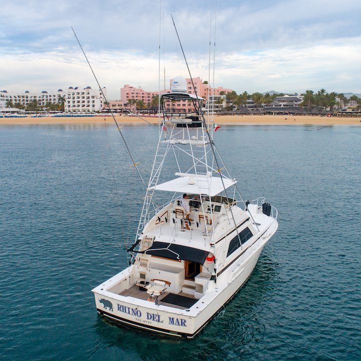 50ft Bertram in Cabo San Lucas 1 50ft Bertram
