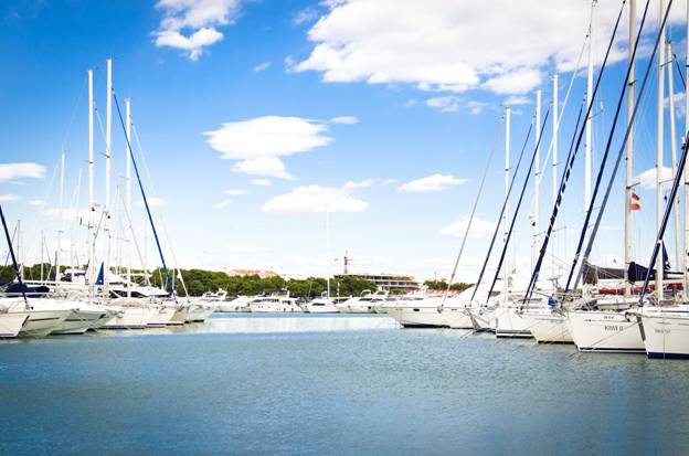 The Luxurious Fishing Fleets Available at Tag Cabo Sportfishing 19 white boats in the sea