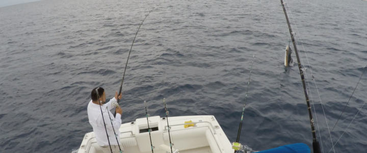 What is Fishing in Magdalena Bay, Mexico Like? What is Fishing in Magdalena Bay, Mexico Like?
