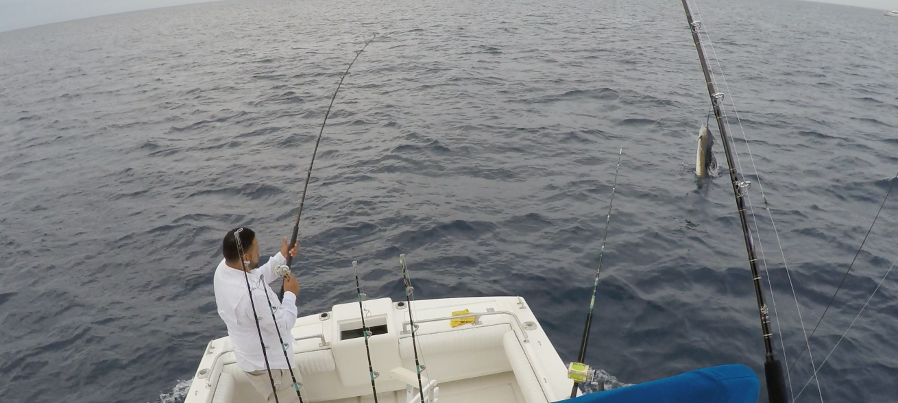 What is Fishing in Magdalena Bay, Mexico Like? 6 Fishing yacht in Mag Bay.