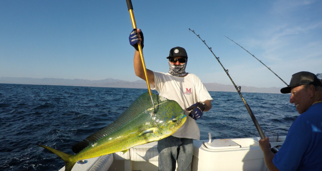 What is Fishing in Magdalena Bay, Mexico Like? 1 A yacht charter in Mag Bay.