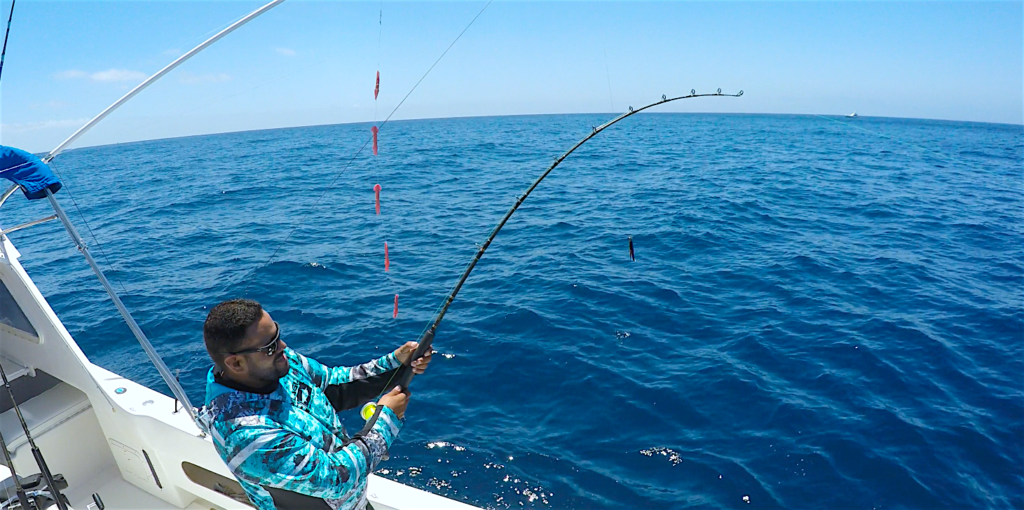 All the Amenities You Want To Be Looking For On a Cruise Ship in Mag Bay 1 Mag Bay fishing charters.