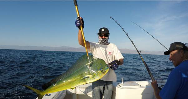 Here Are Some Cabo San Lucas Fishing Techniques and Tips 1 A seasoned angler showing off his catch in Cabo San Lucas.