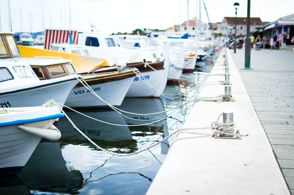 The Best Areas For Deep Sea Sports Fishing In Cabo San Lucas 1 Luxury charter yachts parked onshore for deep sea fishing tours