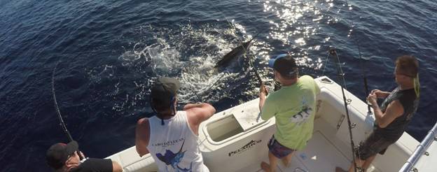 Inshore Fishing Vs. Deep-Sea Fishing: Which Offers A Better Experience? 1 Deep sea fishing in Cabo San Lucas, on a Tag Cabo Sportfishing yacht.