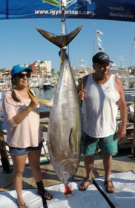 Kite Fishing for Tunas Kite Fishing for Tunas