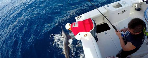 Inshore Fishing Vs. Deep-Sea Fishing: Which Offers A Better Experience? 2 A fishing trip in Cabo San Lucas, on a Tag Cabo Sportfishing yacht.