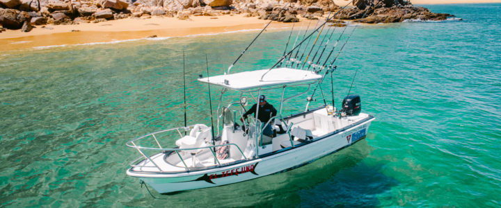 Panga Fishing in Cabo San Lucas Panga Fishing in Cabo San Lucas