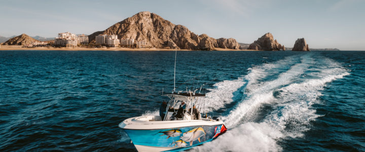 Premier Center Console Charters in Cabo San Lucas Premier Center Console Charters in Cabo San Lucas
