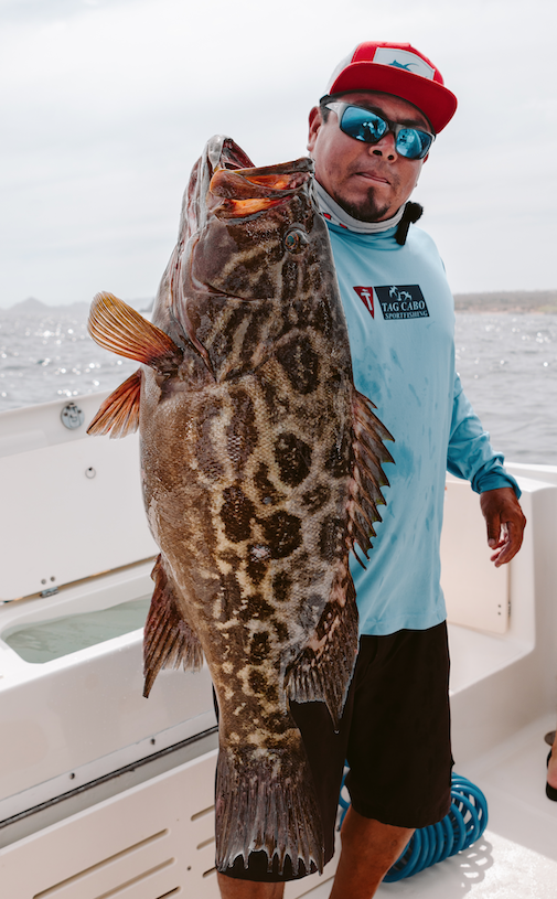 broomtail fishing in Cabo San Lucas broomtail fishing in Cabo San Lucas