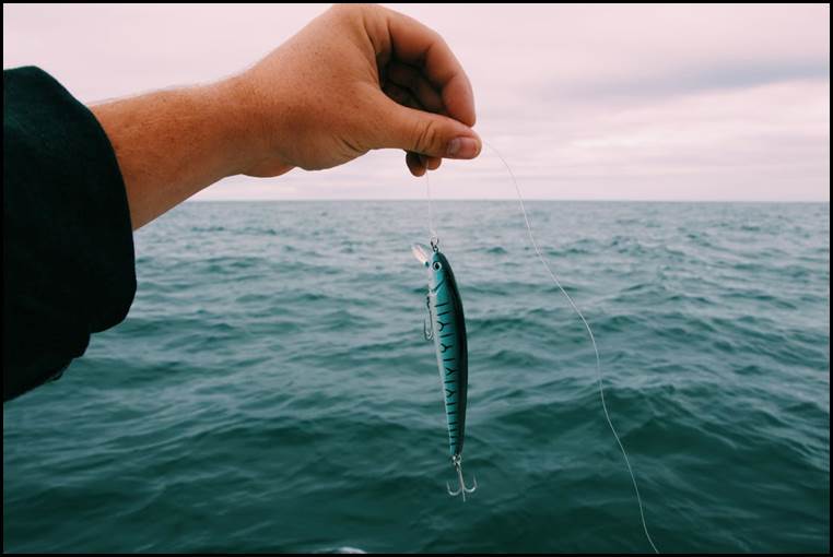 Fishing For Beginners? 4 Tips You Need to Be Mindful Of 1 photo-of-fish-in-white-rod
