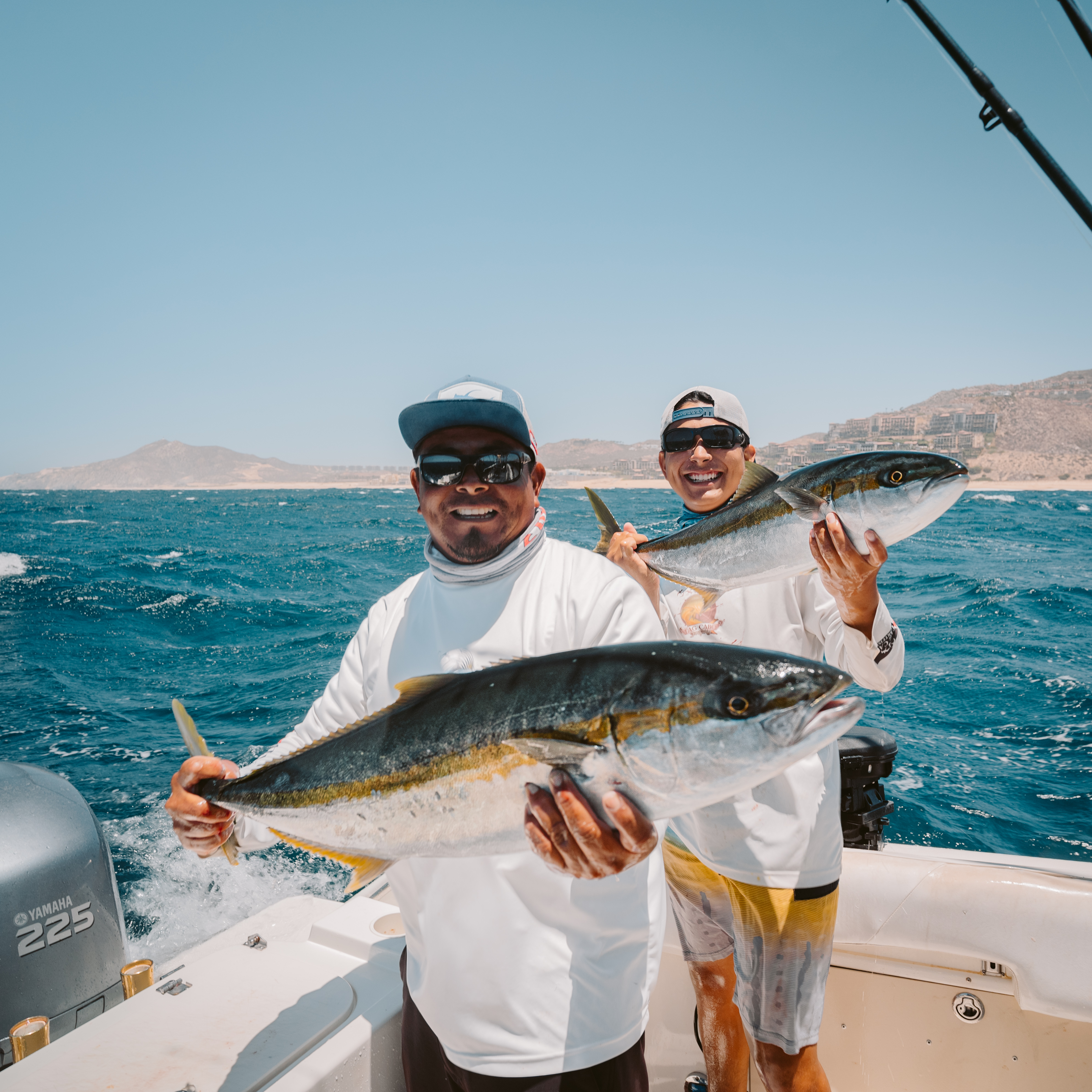 Yellowtail: The Flavorful Gem of the Sea (Plus, Unforgettable Recipes) 10 Yellowtail: The Flavorful Gem of the Sea (Plus, Unforgettable Recipes)