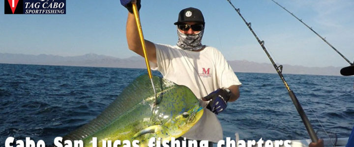 What is A Fishing Charter & How to Choose the Best One? What is A Fishing Charter & How to Choose the Best One?
