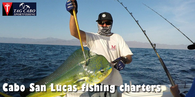 What is A Fishing Charter & How to Choose the Best One? 1 What is A Fishing Charter & How to Choose the Best One?