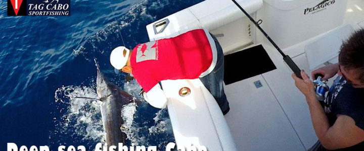 Fishing Charter in Cabo San Lucas can Make a Huge Difference to Your Experience Fishing Charter in Cabo San Lucas can Make a Huge Difference to Your Experience