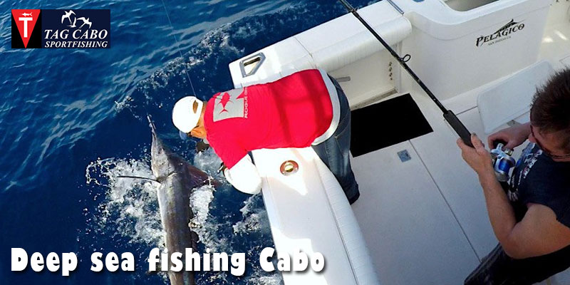 Fishing Charter in Cabo San Lucas can Make a Huge Difference to Your Experience 2 Fishing Charter in Cabo San Lucas can Make a Huge Difference to Your Experience