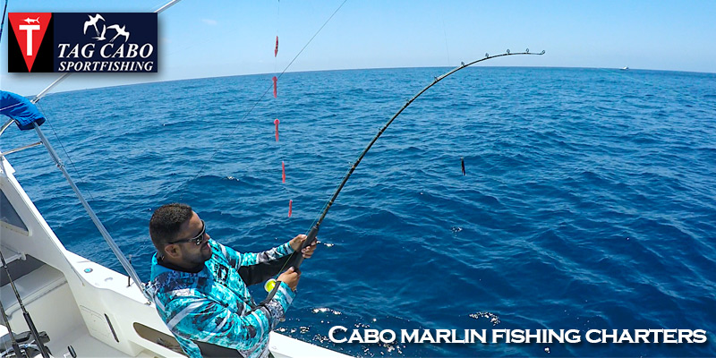 How to select the best fishing charter service? 7 How to select the best fishing charter service?