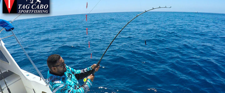 How to select the best fishing charter service? How to select the best fishing charter service?