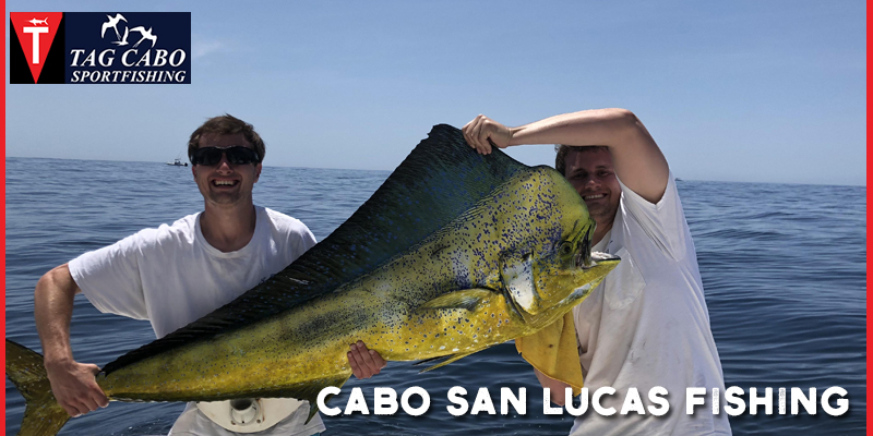 A brief insight into the History of Recreational Fishing 20 A brief insight into the History of Recreational Fishing