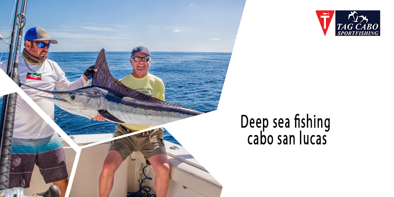 Deep-sea Fishing Vs. Inshore Fishing in Cabo 1 Deep-sea Fishing Vs. Inshore Fishing in Cabo