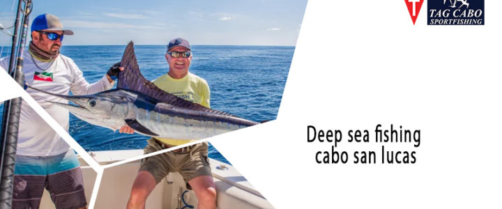 Deep-sea Fishing Vs. Inshore Fishing in Cabo Deep-sea Fishing Vs. Inshore Fishing in Cabo