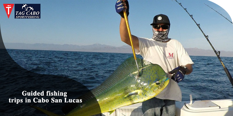 Amazing Benefits of Guided Fishing Trips in Cabo San Lucas 1 Amazing Benefits of Guided Fishing Trips in Cabo San Lucas