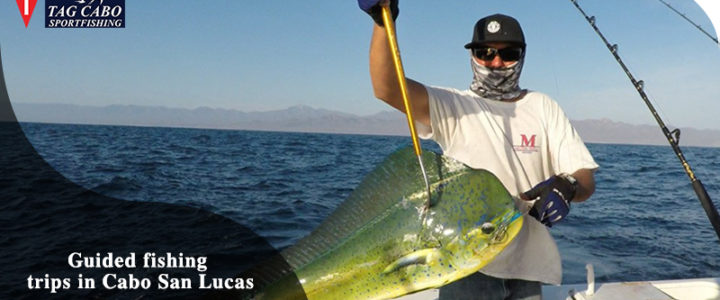 Amazing Benefits of Guided Fishing Trips in Cabo San Lucas Amazing Benefits of Guided Fishing Trips in Cabo San Lucas
