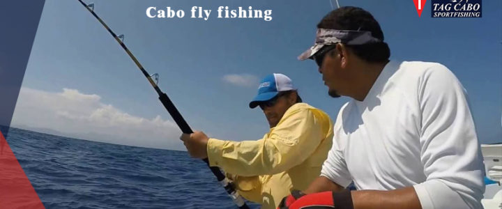 Spin Fishing vs. Fly Fishing: Decoding the Differences! Spin Fishing vs. Fly Fishing: Decoding the Differences!