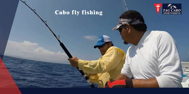 Spin Fishing vs. Fly Fishing: Decoding the Differences! 10 Spin Fishing vs. Fly Fishing: Decoding the Differences!