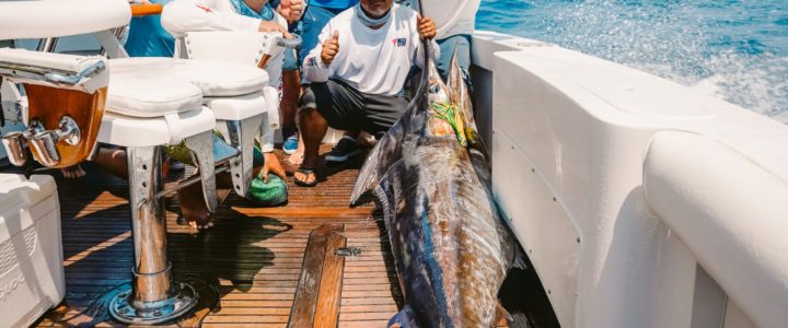 Deep-sea Fishing in Cabo – Blue Marlin Deep-sea Fishing in Cabo – Blue Marlin